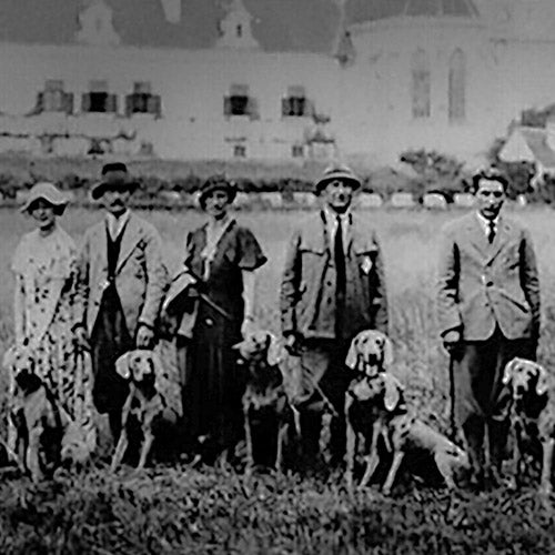 Weimaraner Grafenegg