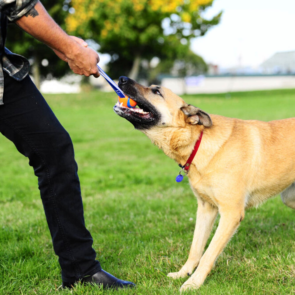 Chuckit! Action Set M by ZIO - Man and dog playing with Cuckit! Ultra Tug.