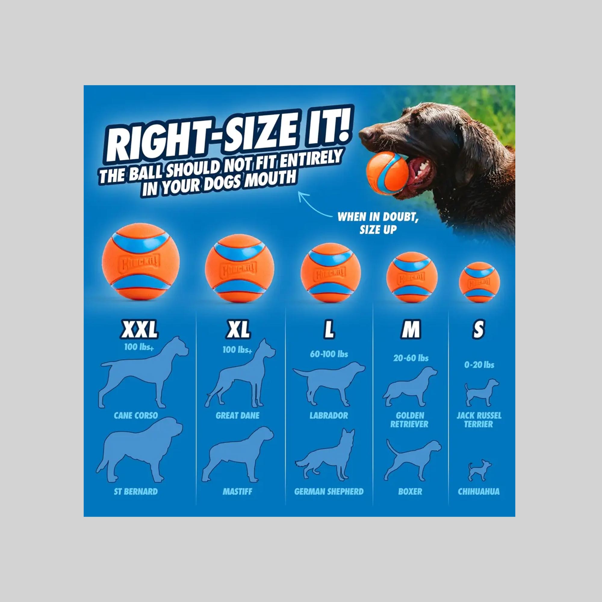 Chuckit! Ball Right Size Chart - The Ball shouldn´t fit entirely in your dogs mouth.