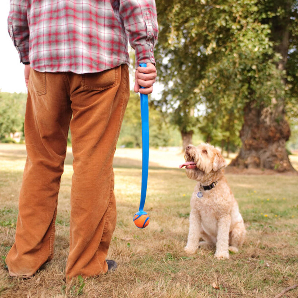 Chuckit! Action Set S by ZIO - Man and dog playing with Chuckit! Sport Launcher and Chuckit! Ultra Ball.