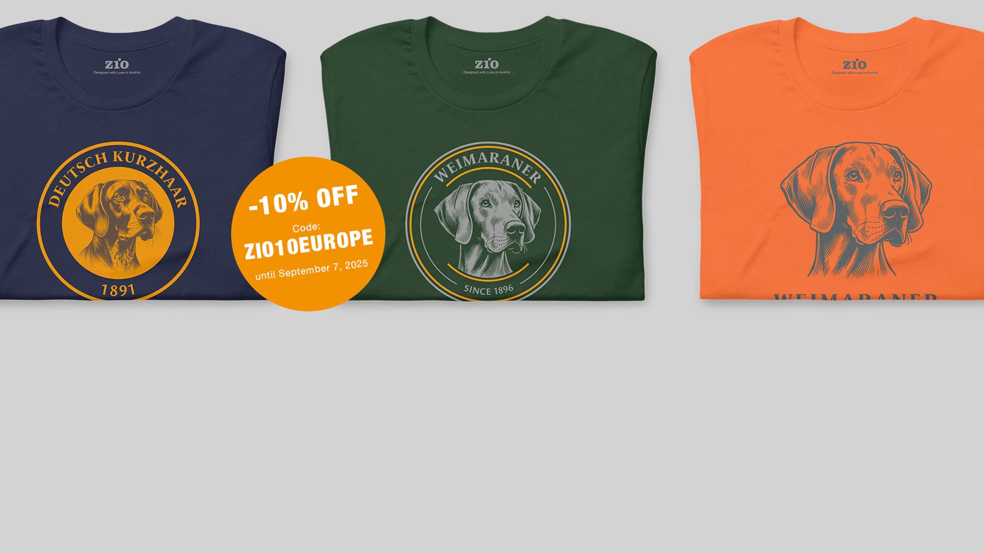 ZIO SAVE NOW -10%